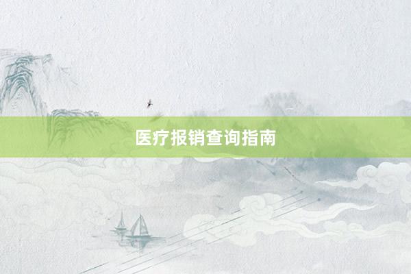 医疗报销查询指南
