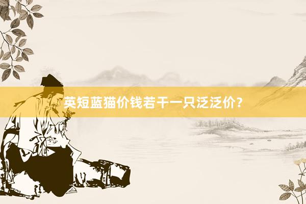 英短蓝猫价钱若干一只泛泛价？